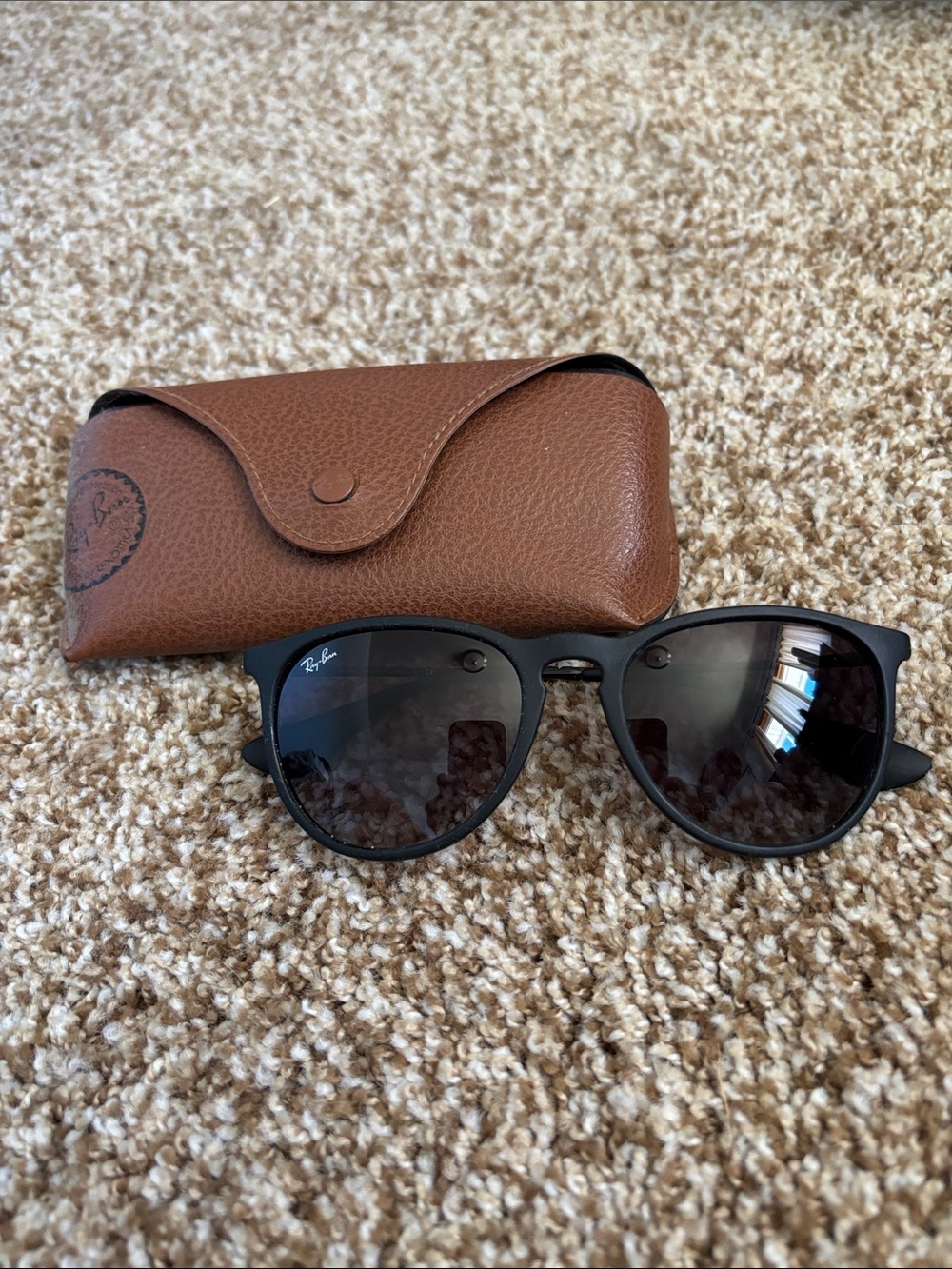 Ray-Ban Black Frame Sunglasses with Dark Lenses